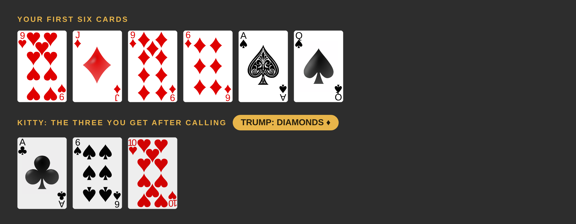 Your six cards are the jack, 9 and 6 of diamonds, the ace and queen of spades and the 9 of hearts. The kitty is the ace of clubs, 6 of spades and 10 of hearts. Trump is diamonds.